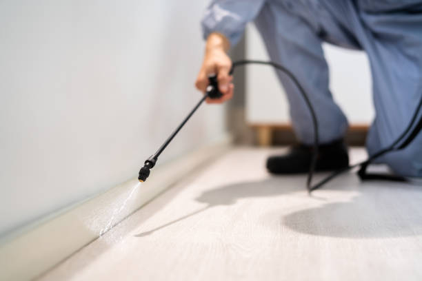 Licensed Pest Control service in Licking, MO - Show Me Pest Control